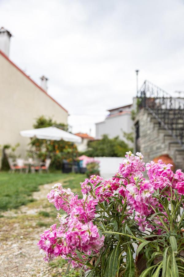 Villa Vardakas Pefkochori Zewnętrze zdjęcie